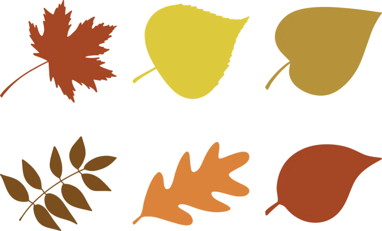 Fall Leaves Clipart Set 2